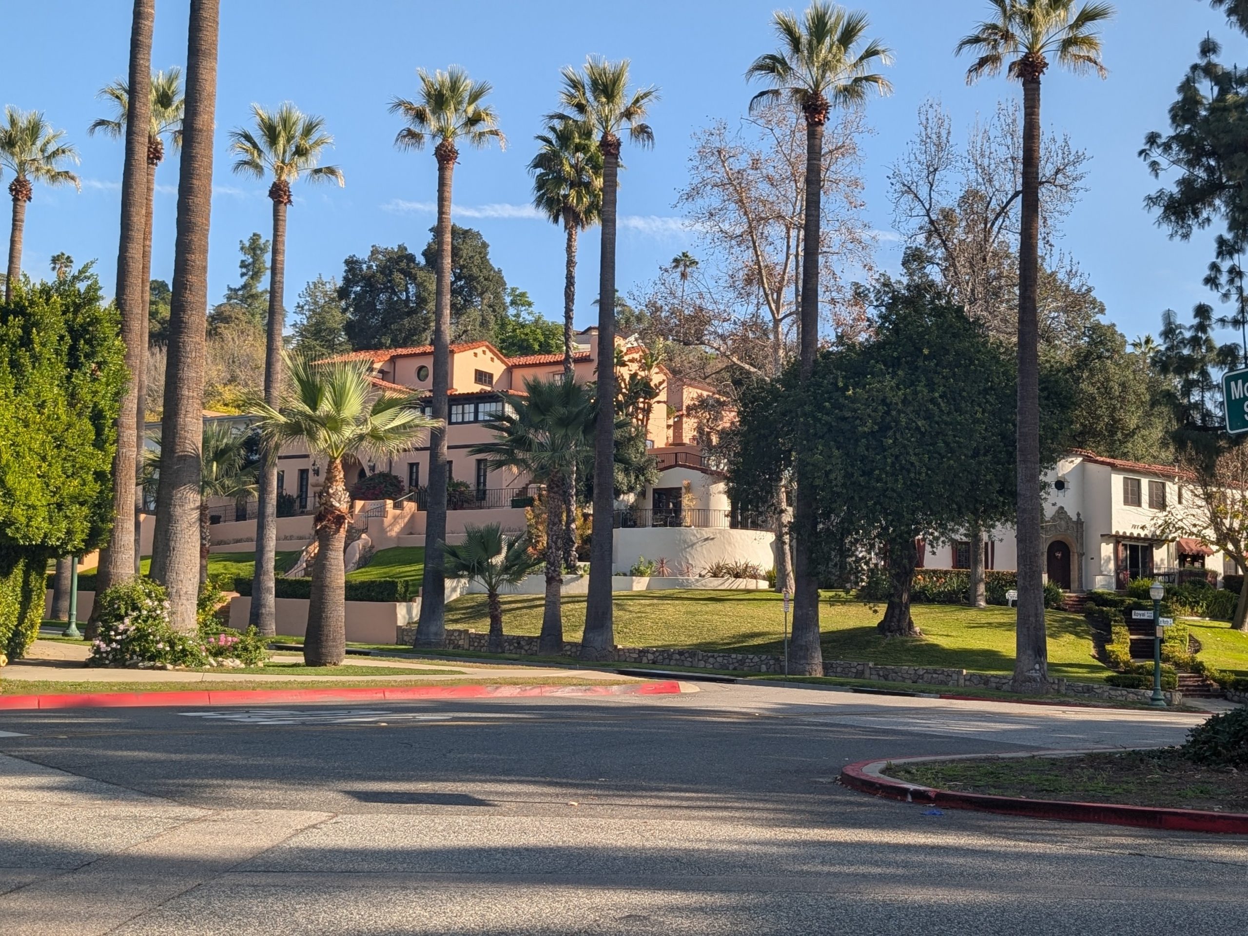 Palm-lined residential street with character homes in the Verdugos